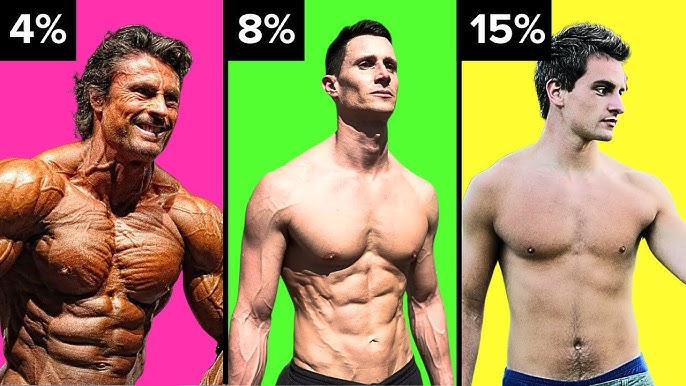 Percentage Fat for Men